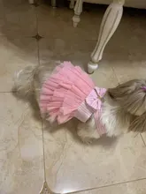 Dress Sling Puppy-Costume Pet-Dog Lace Small Dog Wedding for Party Birthday Bowknot