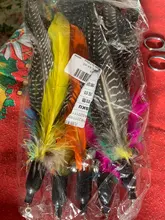 Cat-Wand Refill Pet-Products Replacement-Head Interactive Training 5pcs/Lot Play Random