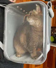 Bolsa de transporte portátil para perros y gatos, cápsula espacial transpirable, bolsa de viaje para astronauta, mochila transparente para mascotas pequeñas para exteriores