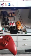 Bluetooth-Adapter Nintendo Switch Xbox 8bitdo Usb Windows Raspberry Pi One-Controller