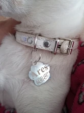 Metal-Tag Pet-Accessories Engraved Puppy Small Dogs Customized for Name-Collar Cat