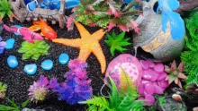 Piedras que brillan en la oscuridad para jardín, guijarros para pasarelas, camino, Patio, jardín, decoración de Acuario, piedras luminosas, 25/50/100 Uds.