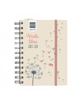 

Spiral course AGENDA MINI-I flies 1/8 1DP 20-21 +