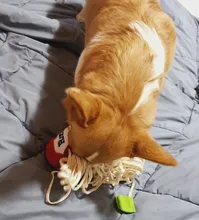 Training-Toy Toys Puzzle Noodle-Shape Puppy-Dog Nosework Dogs Leaking Funny Sniffing