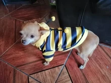 Overalls Sweaters Jacket Pet-Costume Yorkies Dogs Coat Small 