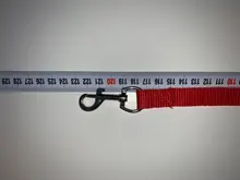 Correa de nailon para perros y gatos pequeños, Collar de gatito colorido de 1,5x120cm, correa de plomo para correr, entrenamiento y caminar