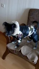 Coats Jacket French Bulldog Waterproof Pet-Dog Small-Dogs Chihuahua Winter Warm for Pets-Clothing