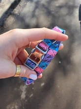 Ajustable de Nylon perro divertido Collar de nombre grabado teléfono azul Pitbull, perro personalizado Collar de mascota perro Etiqueta de impresión Collar