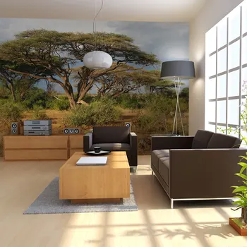 

Wall mural-national reserve Samburu, Kenya - 350x270 cm