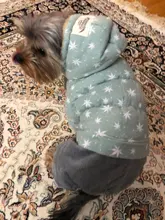 Overalls Fleece Dogs Winter for Star Corduroy Teddy XS M XL