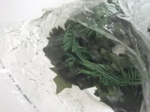 12 Uds. De plantas artificiales de vid flores falsas hiedra guirnalda colgante para la fiesta de boda hogar Bar decoración de paredes de jardín al aire libre