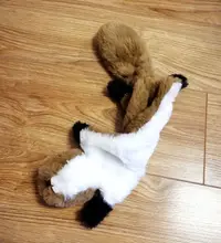 Juguetes de peluche divertidos para mascotas, zorro, León, conejo suave, pequeño, mediano, masticable para perros, accesorios para mascotas