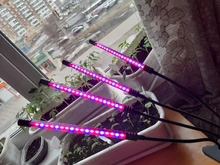 LED Grow Light USB Phyto Lamp Full Spectrum Grow Tent Complete Kit Phytolamp for Plants