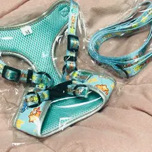 personalized Reflective Dog Cat Harness Vest Pet Adjustable Walking Leash Set for Puppy