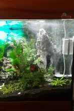 Cleaning-Tool-Accessories Algae-Remover Shrimp Twinstar Aquarium Chihiros Doctor Water-Fish-Tank