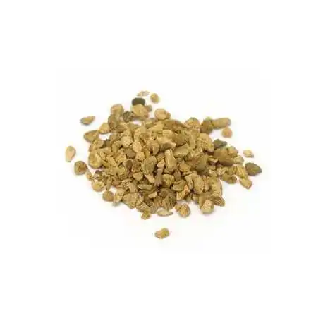 Rhubarb's root afbeelding