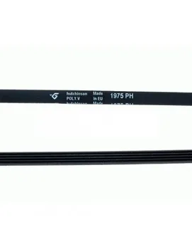 

Washing machine strap Standard 1975 H-5 SLOTTED 80005267