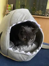 Puppy-House Dogs-Tent Shark Small Dog Large Pet-Product Cat Bed for High-Quality Cotton