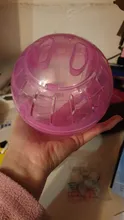 Hamster Toy Pet-Accessories Jogging-Ball Pet-Rodent Gerbil Exercise Rat Small Mice Funny