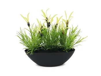 

EUROPALMS Feather lettuce, artificial, 27cm