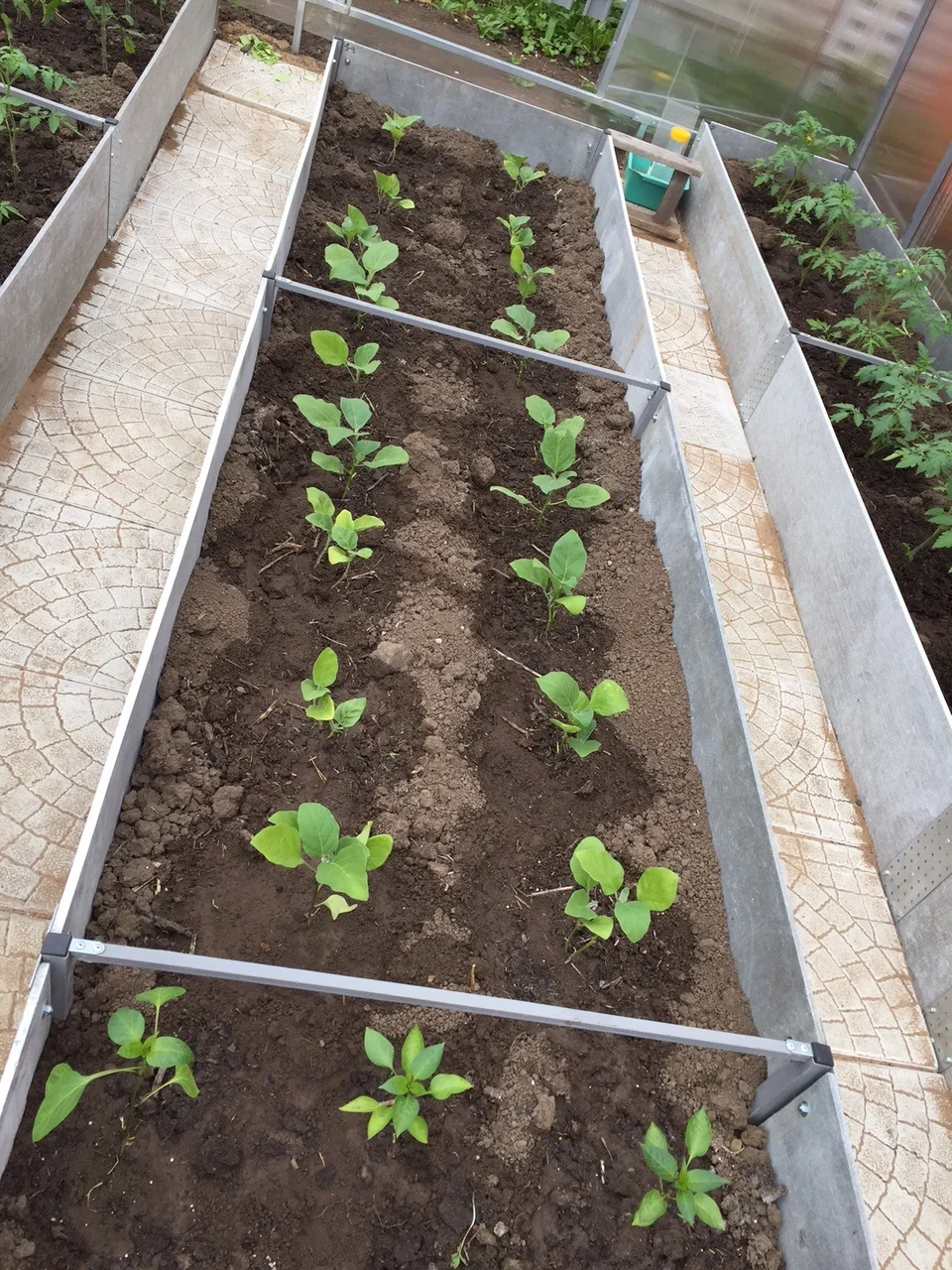 Грядки из цсп своими руками - Фото подборки