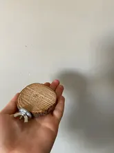 Redondo de madera ardilla loro percha para pájaros soporte plataforma de pájaro de juguete de felpa