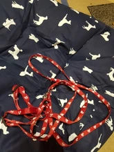 Paw Print Small Dog Harness and Leash Soft Nylon Pet Walking Harness Vest For Chihuahua