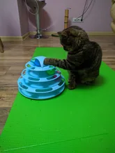 3 Levels Pet Cat Toy Tower Tracks Disc Interacitve Cat Toys Ball Training Amusement Plate