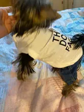 Chaleco para perros, ropa de verano, ropa para cachorros, disfraz de bulldog Francés schnauzer, Camiseta de algodón