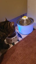 Drinking-Bowl Auto-Feeder CARBON-FILTER Water-Dispenser Water-Fountain Cat Automatic