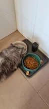 Cuenco de cerámica para perros y gatos, alimentador de mascotas, contenedor de agua y alimentos para cachorros, accesorios de almacenamiento, suministros de animales # P003