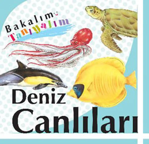 Sea Creatures-Look At Getting To Know Your Collective Final Culture Art Publications | Канцтовары для офиса и дома