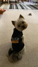 Traje de policía para Cosplay de perros y gatos, chaleco elástico negro, camiseta de cachorro, accesorios, ropa, disfraces