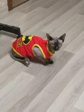 Ropa de perro chaleco, camisa para gato, perro, sudadera para mascotas, ropa de verano, disfraz de cachorro, pug, bulldog francés