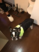 Vest Jacket Pets-Clothing Pug-Coat Puppy Dogs French Bulldog Waterproof Small Winter