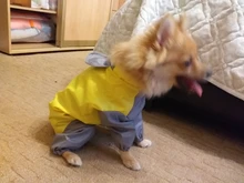 Mono impermeable para perro mascota, ropa impermeable para exteriores, mono con capucha para perros pequeños y grandes, capa impermeable, Bulldog francés