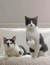 Shower-Nozzle Low-Pressure-Hose Handheld Smesiteli Water-Saving Super-Booster New Durable