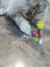 Usb-Charger Fish-Cat-Toy Chew Moving Funny Electric Kitten-Plaything-Supplies Bite Simulation-Wagging