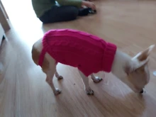 Costume Vests Pets-Vest-Sweater Dog-Coat T-Shirt For Cats Kitty Clothing Cotton Pure