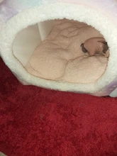 Casa Acogedora de invierno para perros y gatos, cama de mascota cachorro de lujo para perros pequeños, perrera esponjosa para dormir en interiores, tienda de nido, mediana y grande