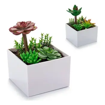 

Plant pot Ibergarden Plastic (10 x 14 x 10 cm)