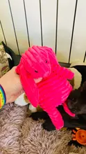 16 Animals Dog Chew Squeak Toys Giraffe Fleece Rope Interative Toy Plush Puppy Deer 