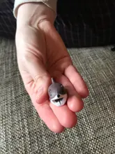 Protector de animales para mordedura de Cable, Cable de carga para Iphone, accesorio de soporte de teléfono con dibujos animados, 1 ud.