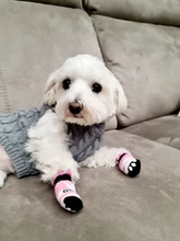 Puppy Socks Cat-Shoes Paw-Protector Anti-Slip Dogs Indoor-Wear Small Winter Cotton Knit