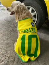Ropa de perro, chaleco de malla para perros pequeños, medianos y grandes, uniforme de fútbol de la Copa del Mundo, ropa de baloncesto para gatos y Mascotas