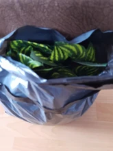 10 Style 1pc Artificial Decoration Vivid Vine Rattan Leaf Vagina Grass Plants Grape Leaves