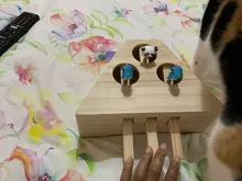 Toy Hamster Mouse Interactive-Maze Wooden Catnip Funny with Catch Chase Bite Solid 3/5-Holed