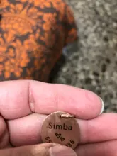 Collar con etiqueta de identificación antipérdida para perro, etiqueta de identificación personalizada para mascota, nombre grabado para gato, Collar de cachorro, accesorios para mascotas