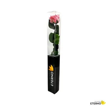 

Mundo eternal Rosa Eterna preserved 55cm pink