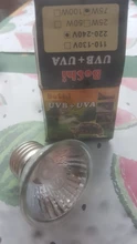 Lámpara para reptiles, bombillas de luz ultravioleta de 25/50/75W, UVA, UVB 3,0, para base de tortuga, lámpara de calefacción para anfibios y lagartos, controlador de temperatura